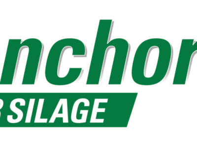 Green and white logo with the words "Anchor FOR SILAGE"; "Anchor" is in large green letters, and "FOR SILAGE" is in bold white font on a green background block below.
