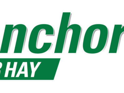 Logo with the word "Anchor" in large green letters. Below it, "FOR HAY" is written in white letters on a green rectangular background. The background is white.