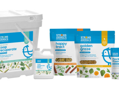 A lineup of poultry health products from Strong Animals, including a large white tub, bottles, and resealable pouches labeled Coop Recuperate, Happy Tract, Golden Graze, Flock Fixer, and Chicken E-lixir.