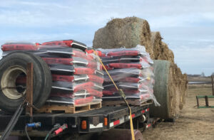 A flatbed trailer loaded with stacked bags of feed wrapped in plastic and several large round hay bales sits on a farm under a cloudy sky. A spare tire is attached to the trailer.