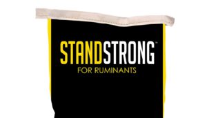 A close-up of a black bag with a beige rim, featuring the bold text "STANDSTRONG FOR RUMINANTS" in yellow and white lettering.