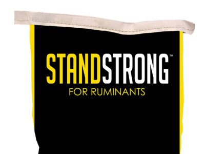 A close-up of a black bag with a beige rim, featuring the bold text "STANDSTRONG FOR RUMINANTS" in yellow and white lettering.