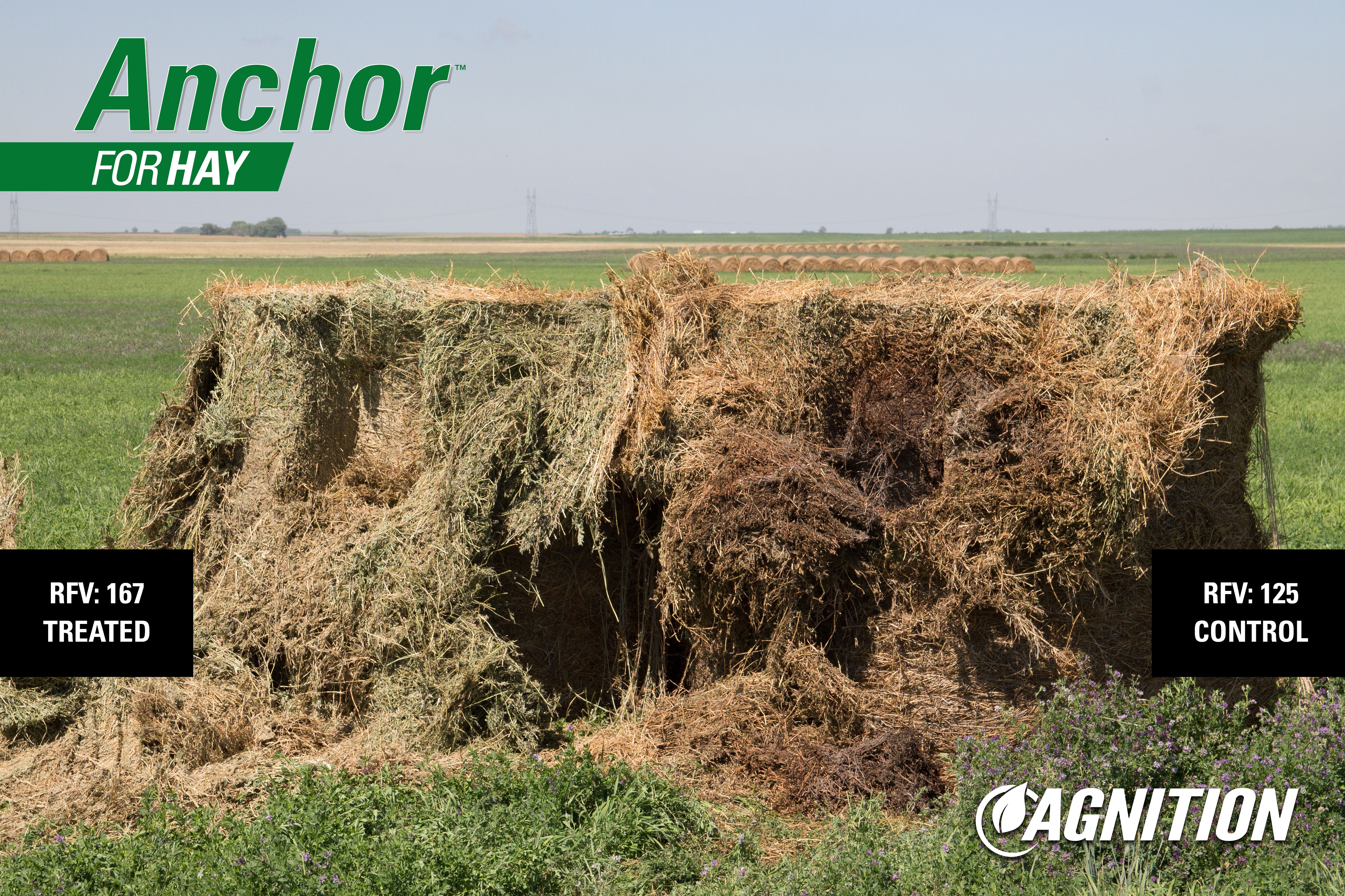 Anchor for Hay