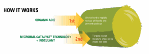 Diagram showing how organic acid (1st) works to rapidly reduce pH and prevent spoilage in a hay bale, and how microbial catalyst technology plus inoculant (2nd) targets higher moisture areas deep inside the bale.