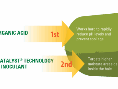 Diagram showing how organic acid (1st) works to rapidly reduce pH and prevent spoilage in a hay bale, and how microbial catalyst technology plus inoculant (2nd) targets higher moisture areas deep inside the bale.