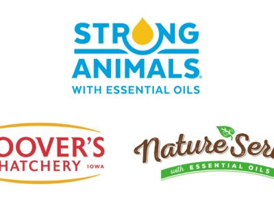 Logos for three brands: "Strong Animals with Essential Oils" (blue text, yellow drop), "Hoover’s Hatchery" (red text, Rudd, Iowa), and "NatureServe with Essential Oils" (green and brown text, leaf detail).