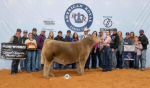 A group of people pose with a show steer and award banners in front of an "American Royal Kansas City" backdrop, celebrating a Grand Champion title at a livestock event.