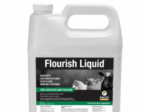 A white plastic container labeled "Flourish Liquid" with images of a piglet, chick, and cow. The label states it supports gastrointestinal health and immune function for livestock and poultry.