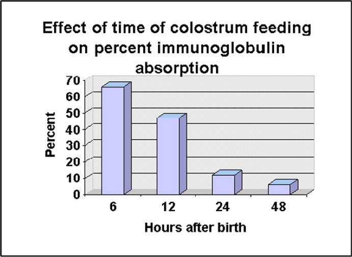 Effect of Time of Colostrum Feeding on Percent Immunoglobulin Absorption