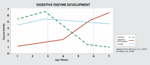 Line graph titled "Digestive Enzyme Development" shows lactase enzyme activity decreasing, amylase & protease increasing steadily, and lipase staying level, across ages 1–7 weeks.