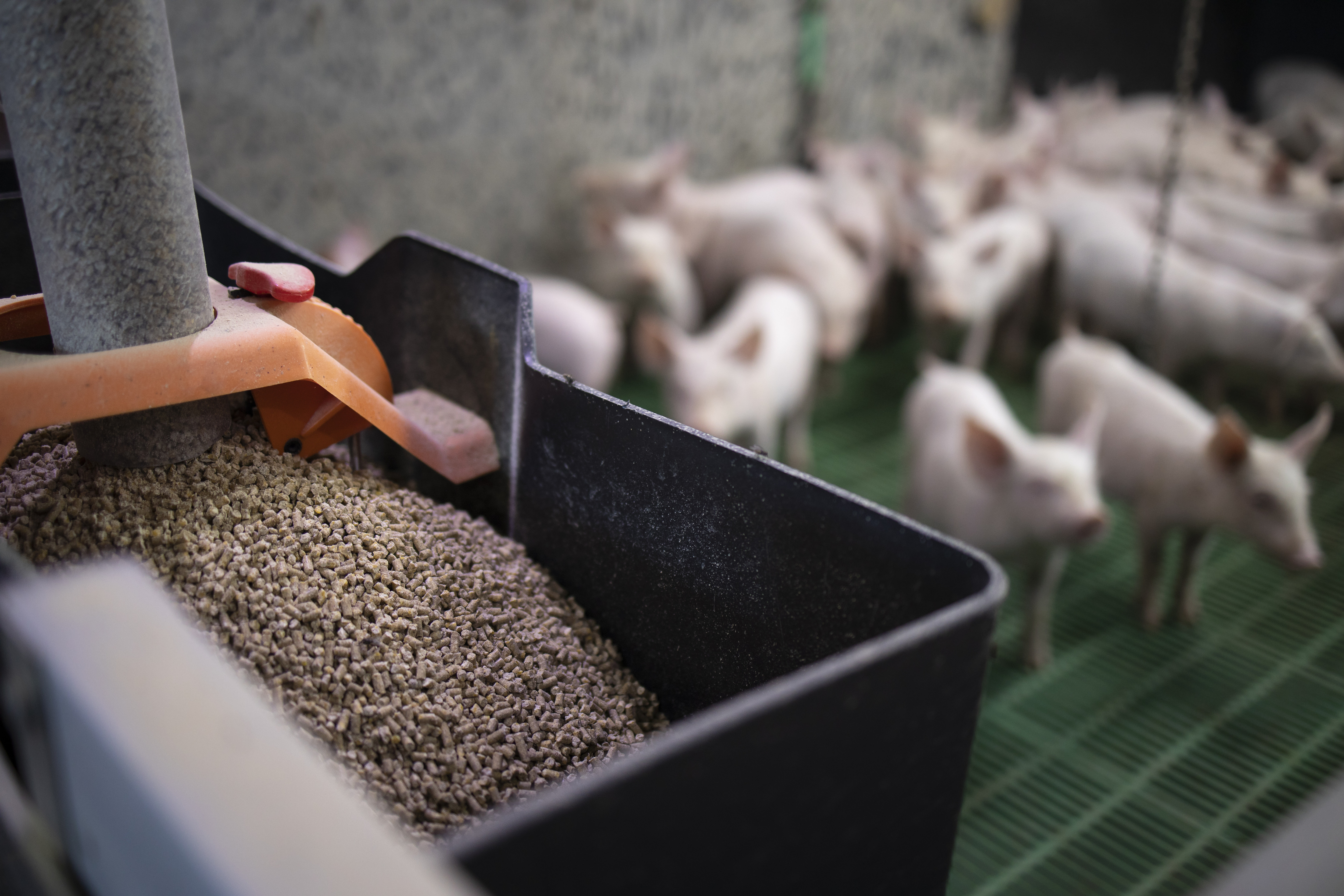 How Mill Capabilities Can Impact Your Nutritional Plan