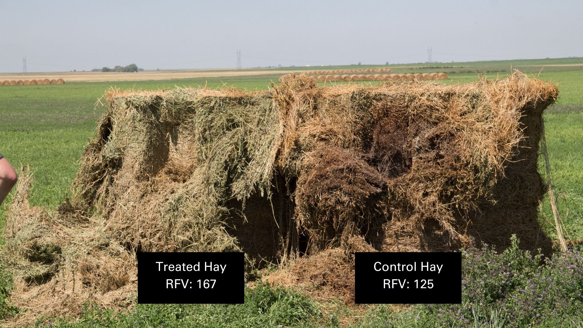 Hay preservative for hay quality