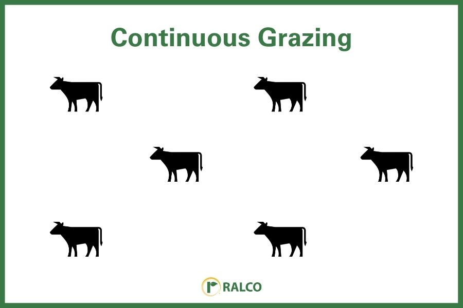Continuous grazing