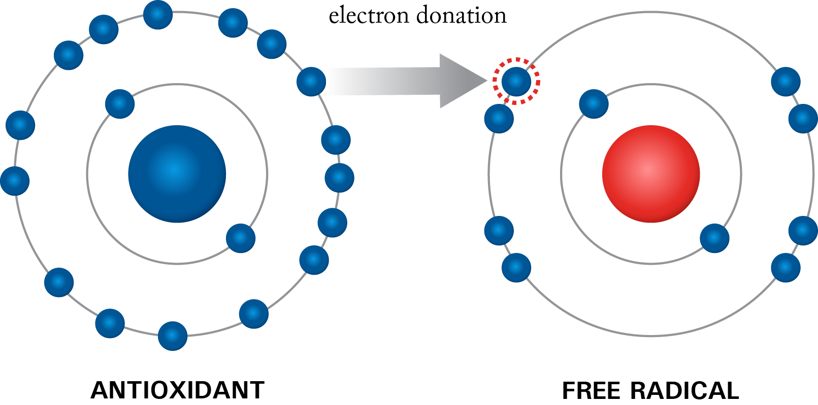 oxidative stress and antioxidants. How antioxidants can donate an electron to a free radical and reduce oxidative stress graphic.