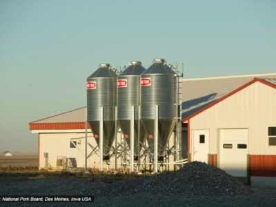 Three large metal grain silos stand beside a beige and red-roofed agricultural building under a clear sky. The area around the silos is gravel, and farmland stretches into the background.