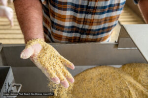 A person in a plaid shirt holds a handful of finely ground animal feed above a large container filled with the same feed. The hand is partially dusted with the feed, and part of a pig is visible in the background.