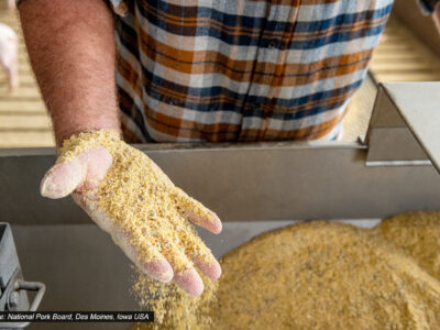 A person in a plaid shirt holds a handful of finely ground animal feed above a large container filled with the same feed. The hand is partially dusted with the feed, and part of a pig is visible in the background.