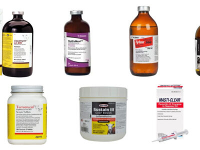 A collection of various livestock antibiotics in bottles, jars, and a tube, each with distinct labels and packaging, arranged in two rows against a white background.