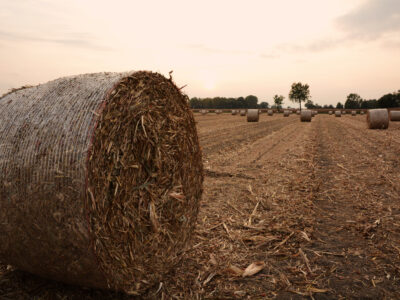 A large round hay bale sits in a harvested field at sunset, with several other hay bales scattered in the distance, under a partly cloudy sky.