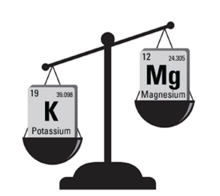 Choosing the Best Minerals for Cattle