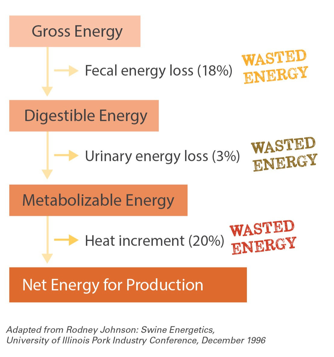 Net energy diet formulation for swine