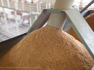 A close-up view of a feed chute dispensing a large pile of ground animal feed, likely at a livestock facility; metal railings and blurred background equipment are visible.