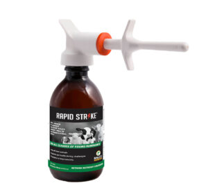 A brown bottle labeled "Rapid Strike" with a white and orange dispensing nozzle, featuring an image of calves and text indicating it's a supplement for young ruminants.