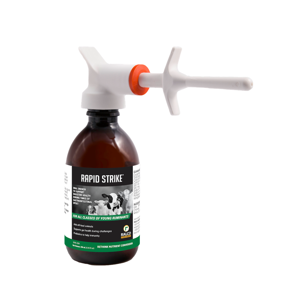 Rapid Strike packaging