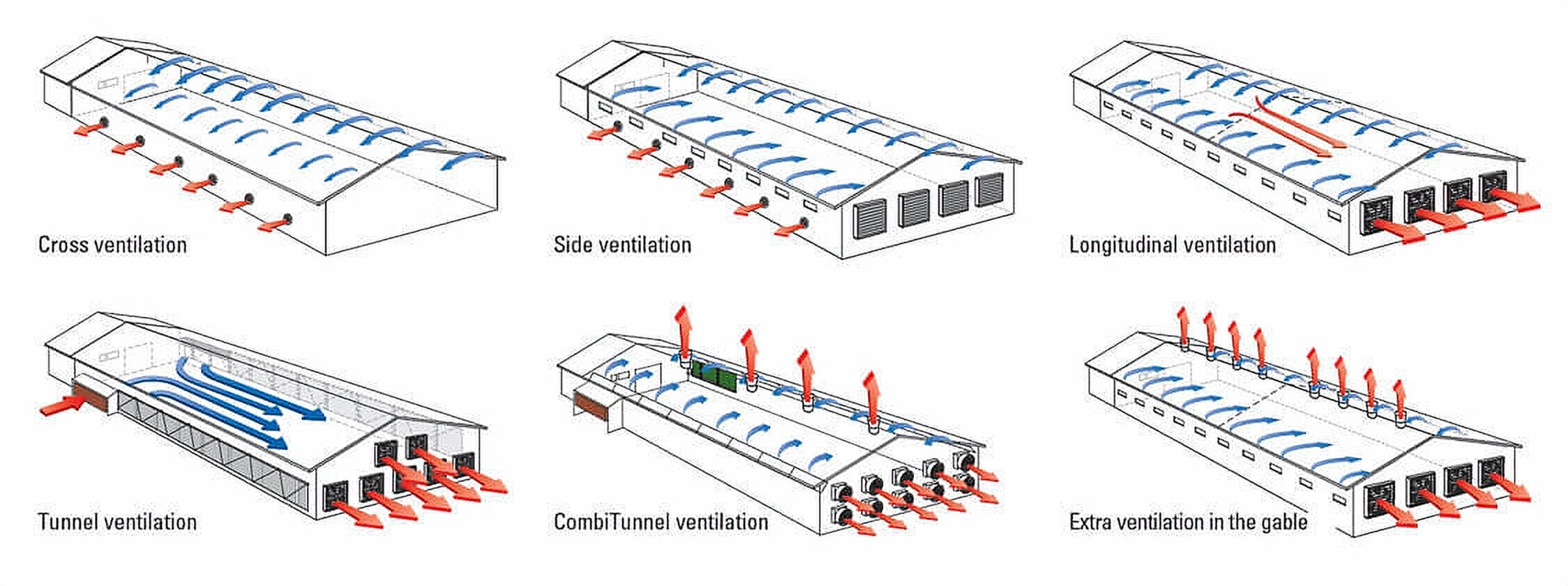 types of Ventilation Systems in a poultry house graphic