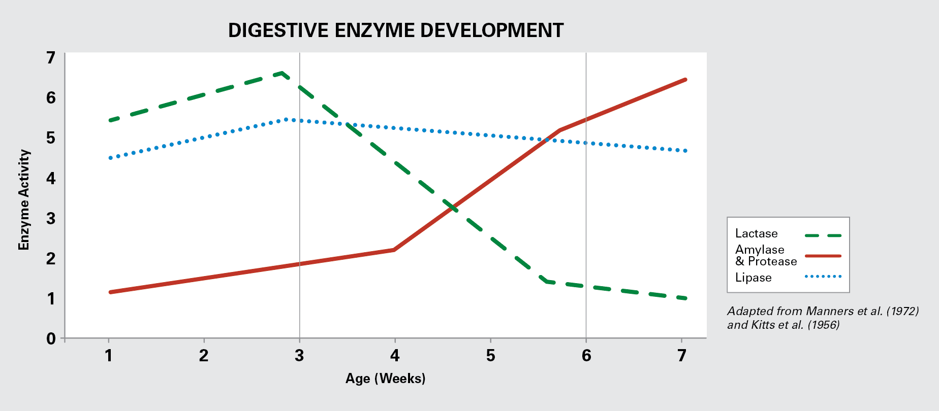 chart showing the digestive enzymes in a nursery pig