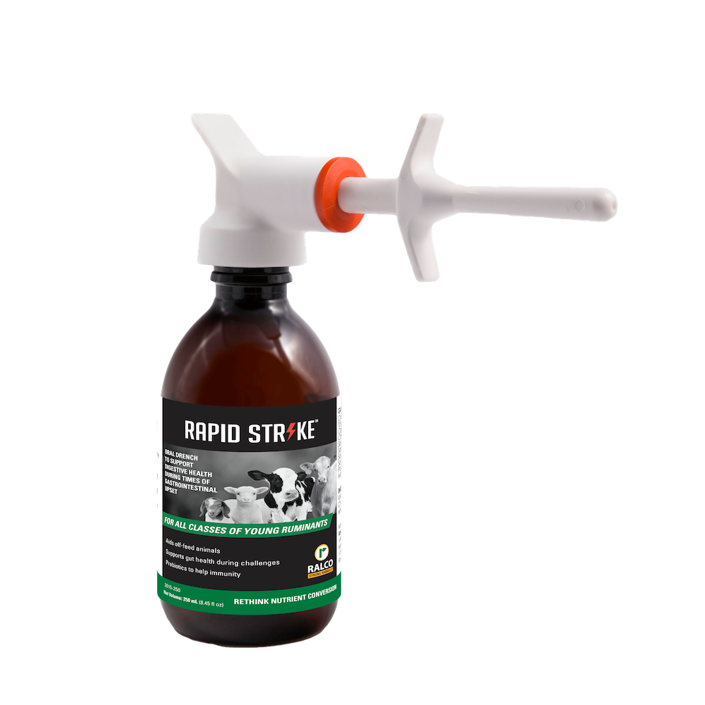 Rapid Strike Packaging