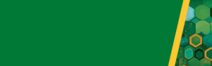 Green background with a diagonal yellow stripe on the right, next to a section of green and yellow hexagon patterns in various shades. The left side is plain green with no other elements.