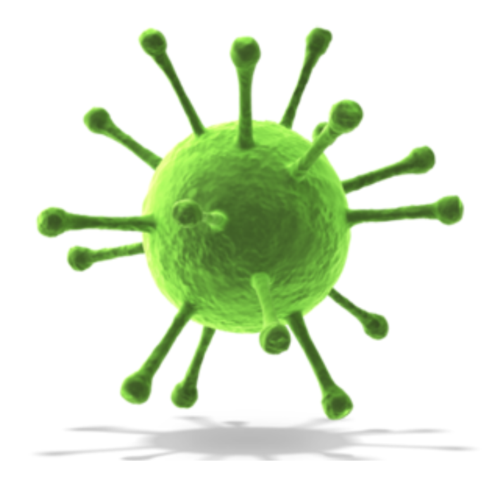 A green virus with many spikes.