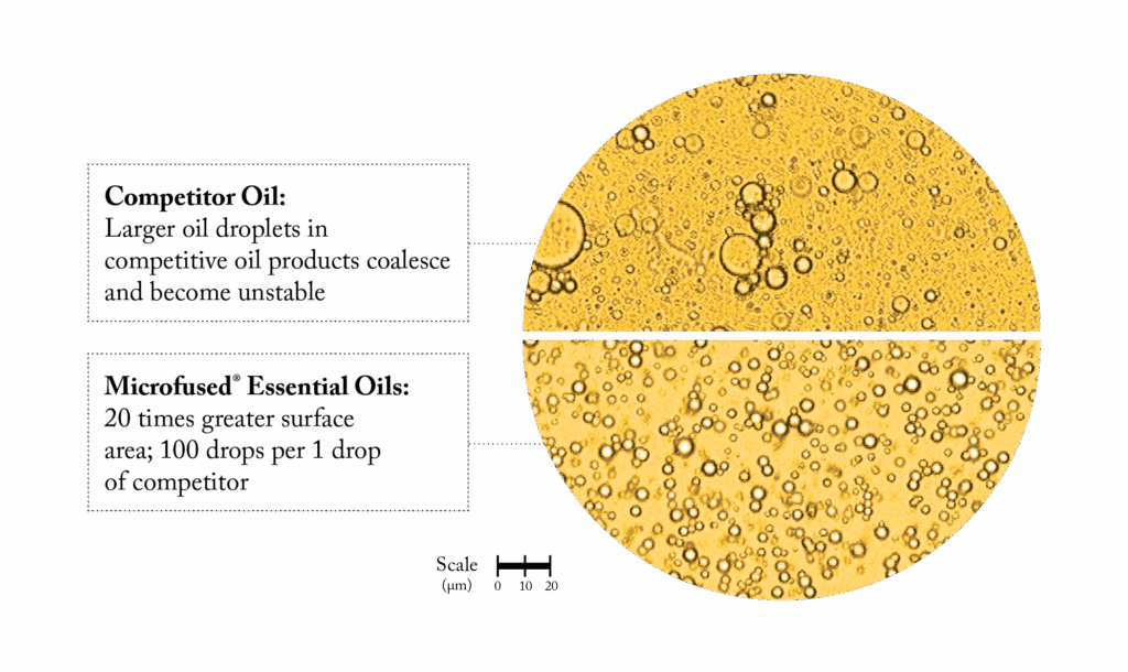 Side-by-side microscopic comparison of oil droplets: the competitor oil shows larger, unstable droplets, while Microfused Essential Oils show much smaller, denser droplets with greater surface area. Scale bar shows 0–20 micrometers.