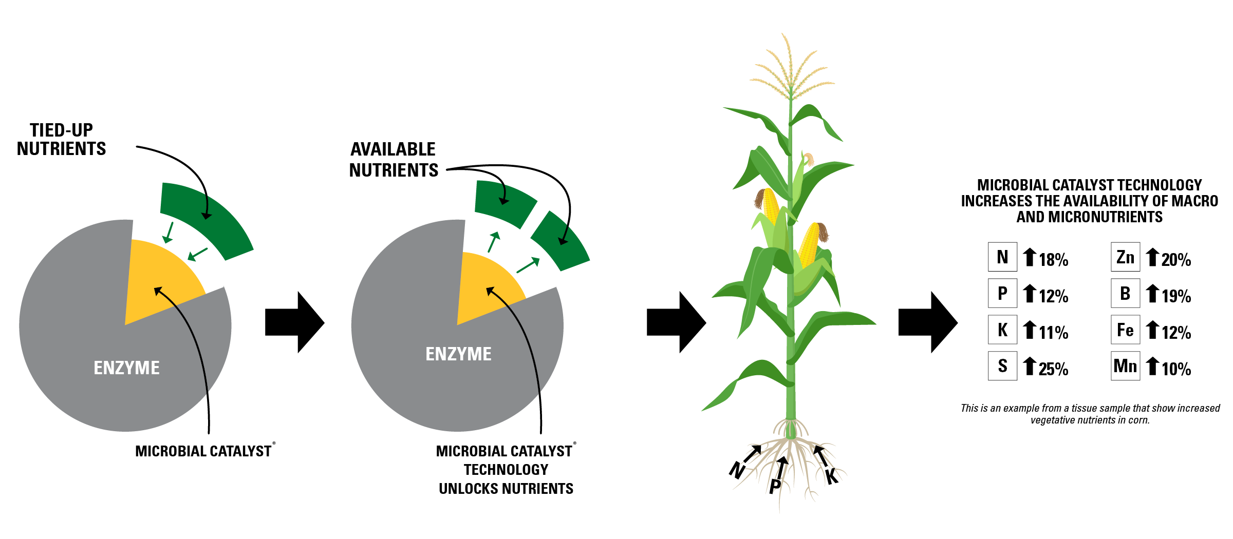A diagram shows microbial catalysts unlocking tied-up nutrients, making them available for a corn plant. The plant receives increased N, P, K, S, Zn, Fe, and Mn, leading to better growth and nutrient uptake.