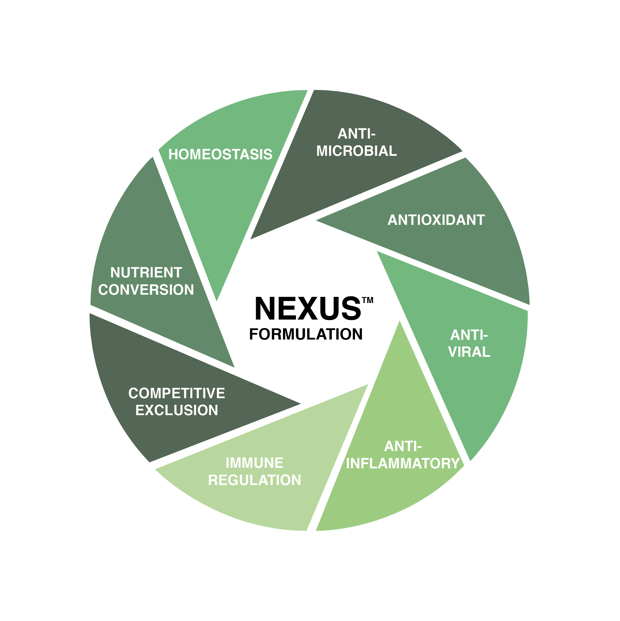 A circular diagram titled "NEXUS™ Formulation" with seven segments labeled: Homeostasis, Anti-Microbial, Antioxidant, Anti-Viral, Anti-Inflammatory, Immune Regulation, Competitive Exclusion, and Nutrient Conversion.