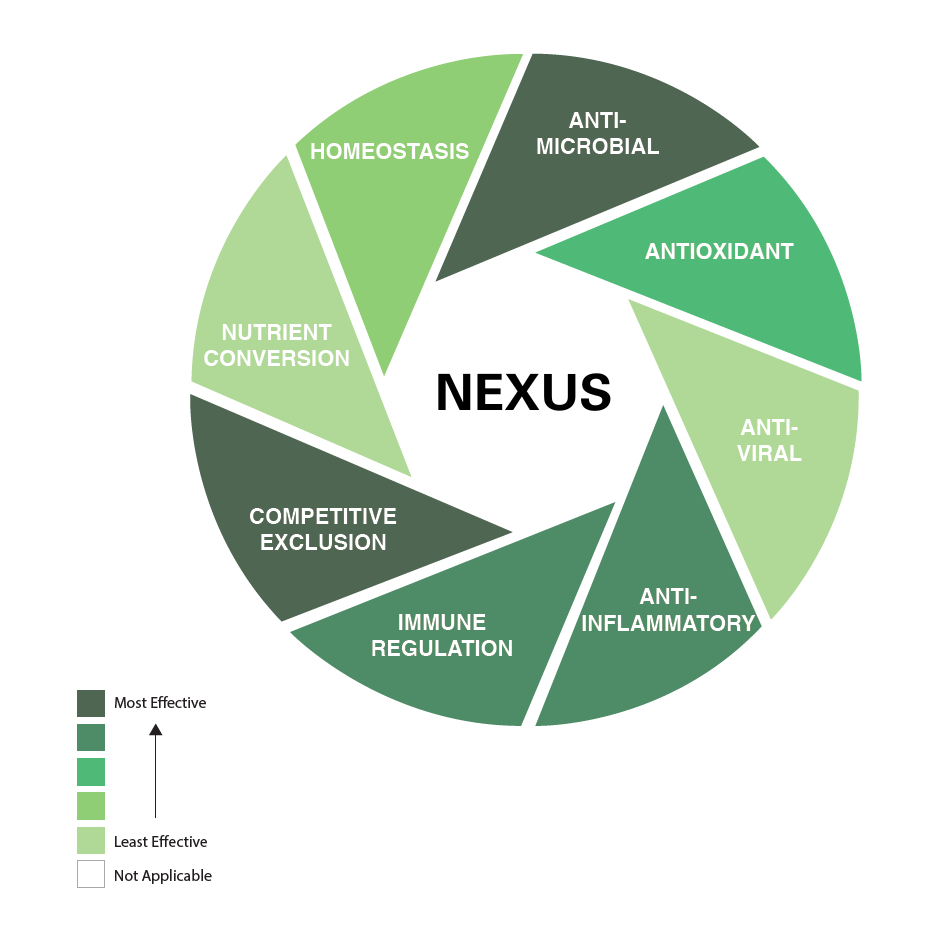 A circular chart labeled "NEXUS" in the center shows seven sections: Antimicrobial, Antioxidant, Antiviral, Anti-Inflammatory, Immune Regulation, Competitive Exclusion, Nutrient Conversion, and Homeostasis. Color intensity indicates effectiveness.
