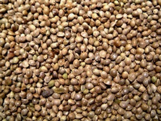 hemp seed meal