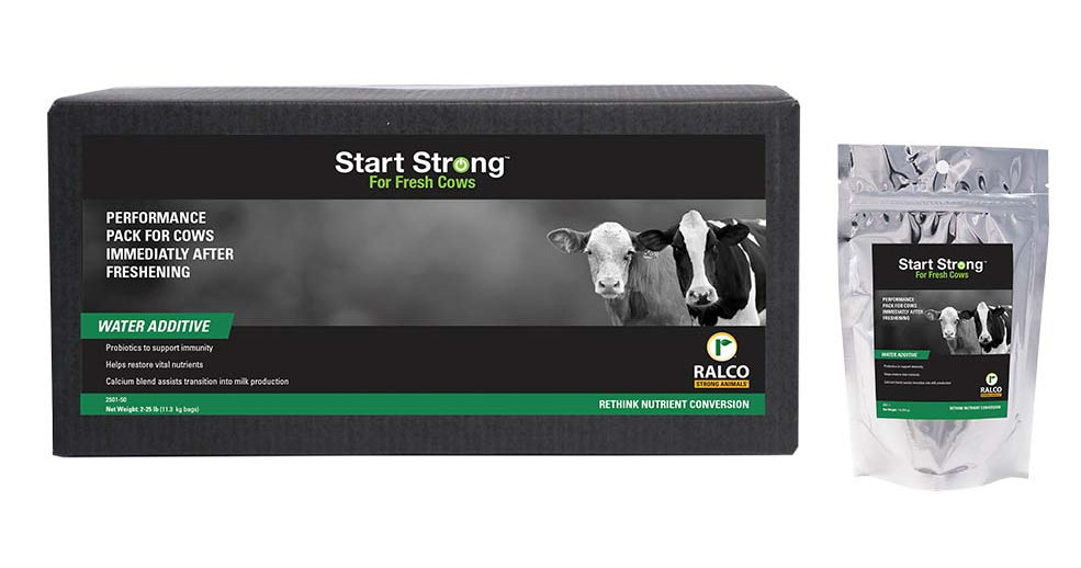 Start Strong for Fresh Cows nutritional pack for fresh cows to prevent milk fever and ketosis 