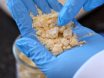 A person wearing blue gloves holds a handful of crumbly, yellowish powder, possibly a food or chemical substance, over a glass container.