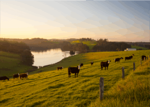 Cows grazing on a green hillside pasture at sunset, with a calm lake and rolling hills in the background under a clear sky.