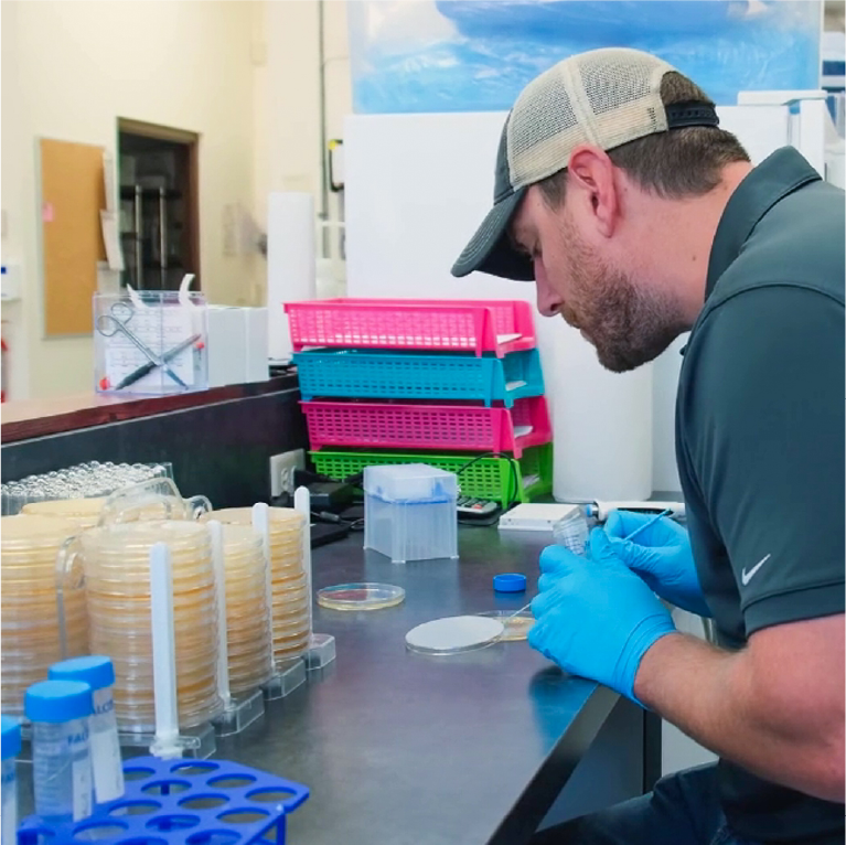 A man wearing blue gloves and a cap works in a laboratory, handling petri dishes at a desk with lab equipment, plastic trays, and test tubes.