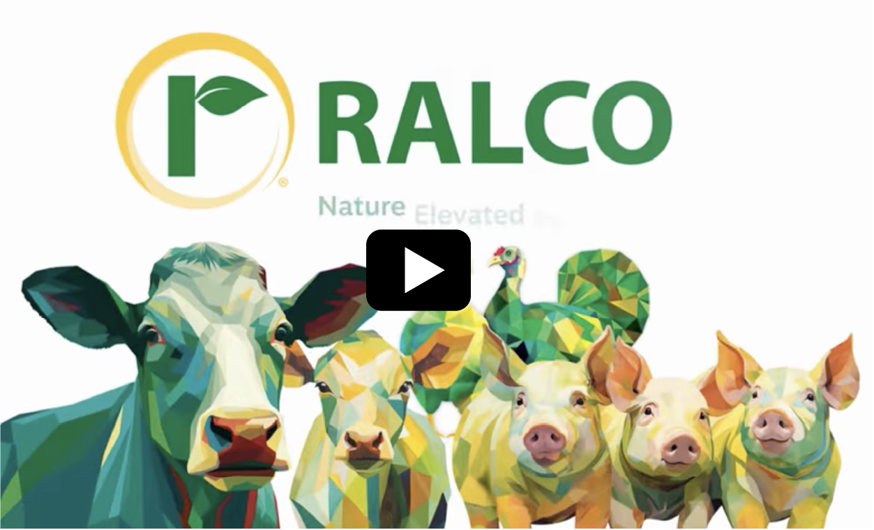 Colorful geometric illustrations of a cow, three pigs, and a chicken appear below the green "RALCO" logo with a leaf in a circle, and the words "Nature Elevated" in light green below the logo. A play button is centered on the image.