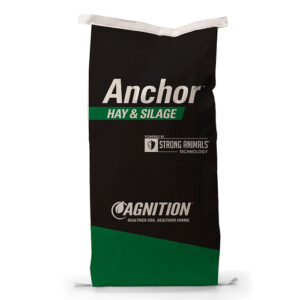 A black and green "Anchor for Hay" feed bag with Strong Animals Technology and Cagnition logos stands upright on a white background.