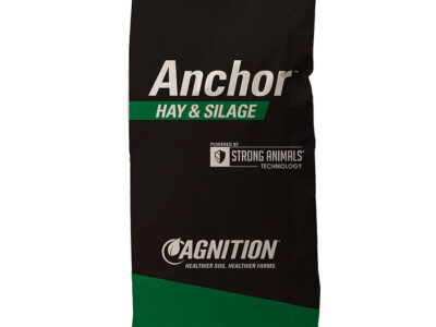 A black and green "Anchor for Hay" feed bag with Strong Animals Technology and Cagnition logos stands upright on a white background.