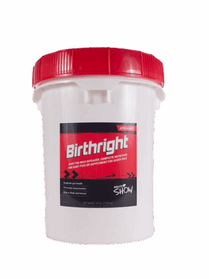 A white plastic container with a red lid labeled "Birthright for Show Animals" in black and red, this product is a baby pig milk replacer and supplement specially formulated for club pigs.