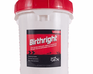 A white plastic container with a red lid labeled "Birthright for Show Animals" in black and red, this product is a baby pig milk replacer and supplement specially formulated for club pigs.