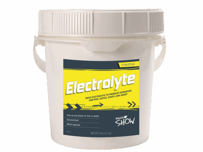 A white plastic tub labeled "Electrolyte" features blue and yellow branding, a handle, screw-on lid, and is formulated to promote hydration in pigs, cattle, goats, and sheep.