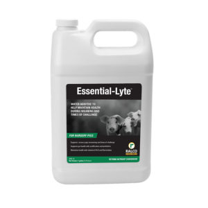 A white plastic gallon jug of Essential-Lyte water additive for nursery pigs, featuring a black and green label with piglet images and product details.