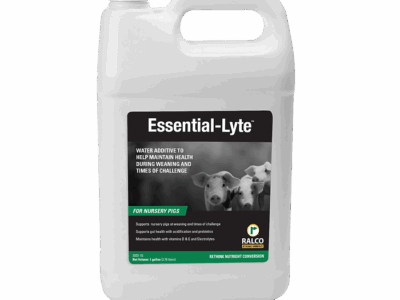 A white plastic gallon jug of Essential-Lyte water additive for nursery pigs, featuring a black and green label with piglet images and product details.